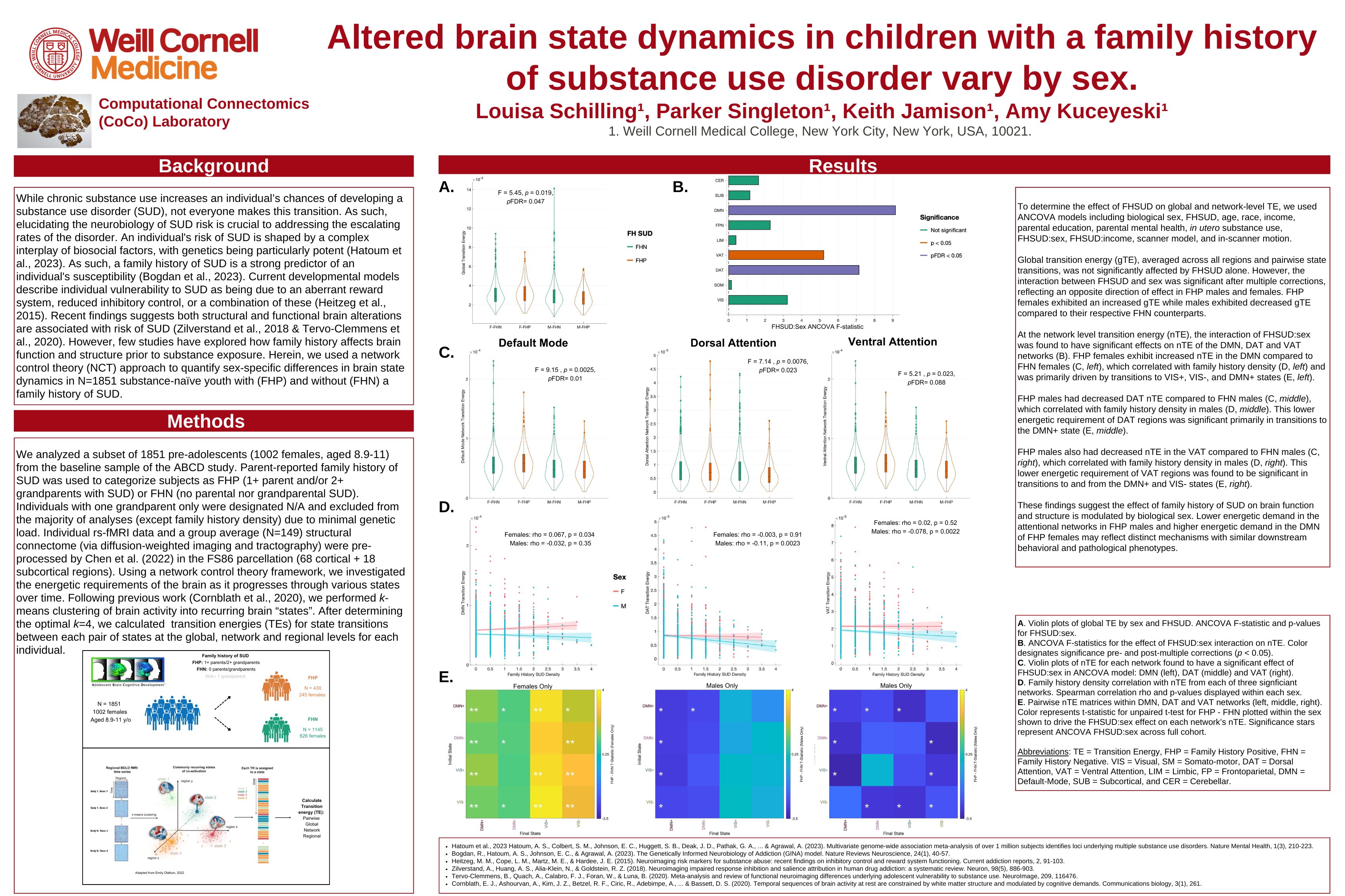 OHBM 2024 Poster